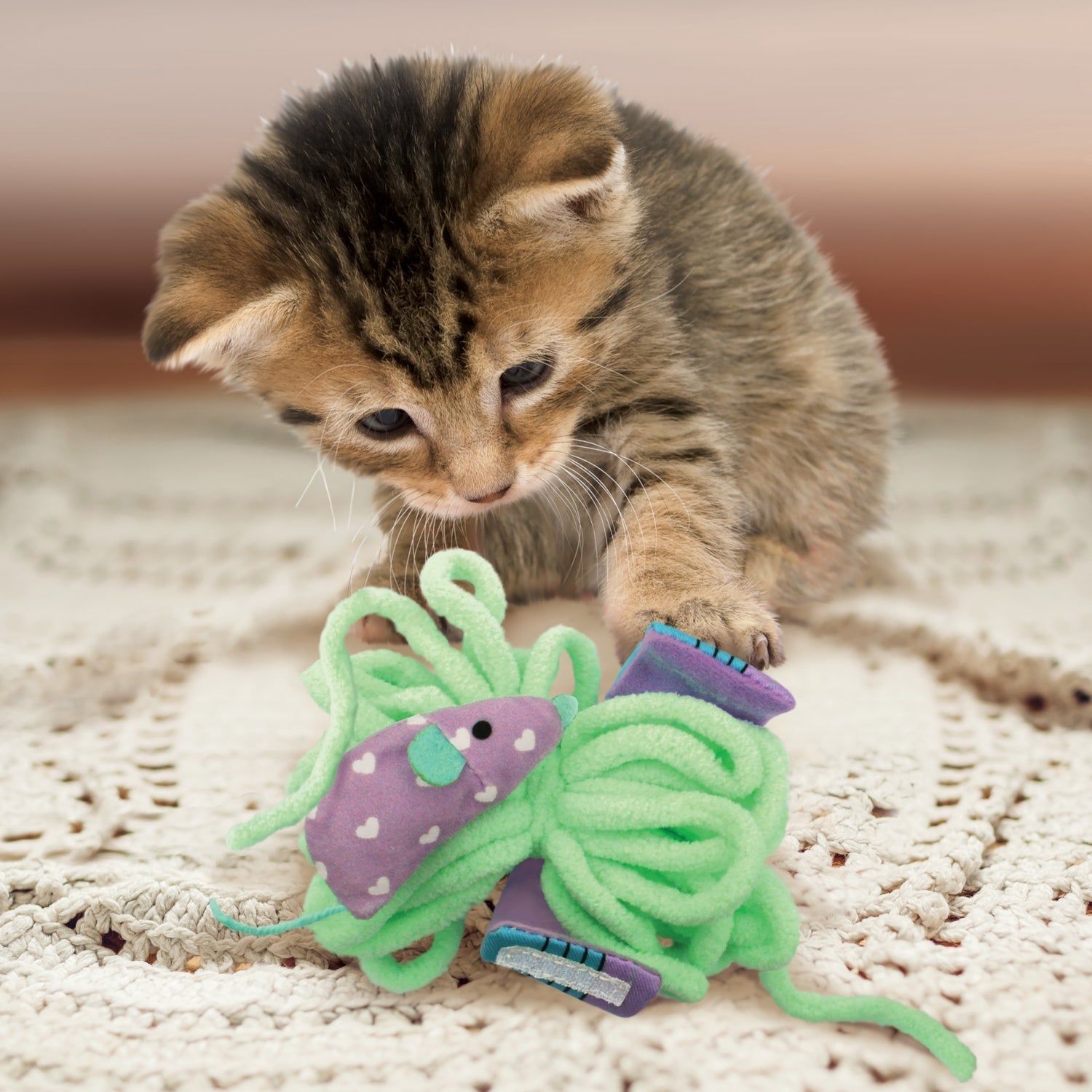 The Best Cat Toys for 2025