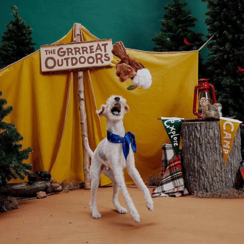 BARK Majestic Marty Grrreat Outdoors Dog Toy