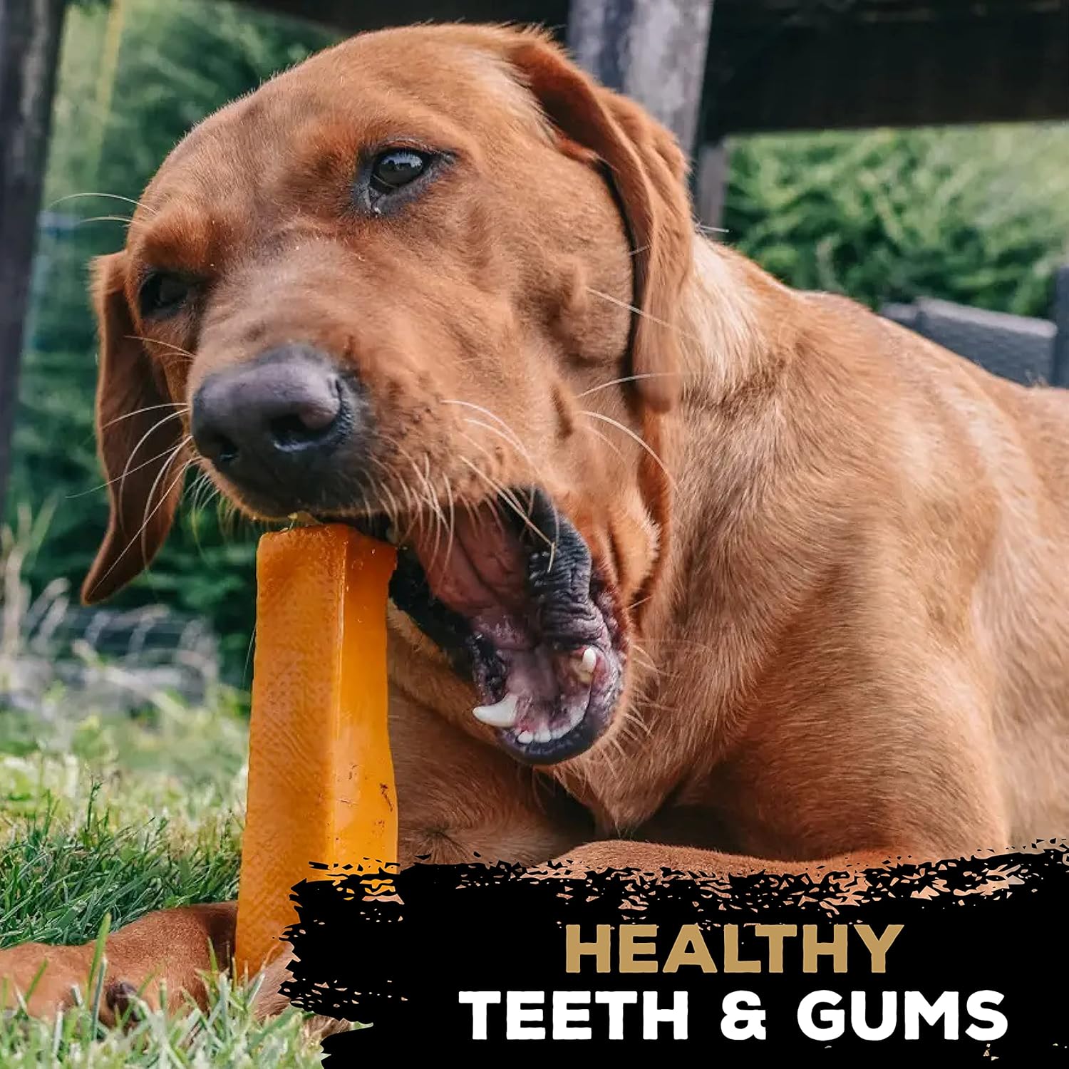 TastyBone Wild Yak Cheese Flavour Bar