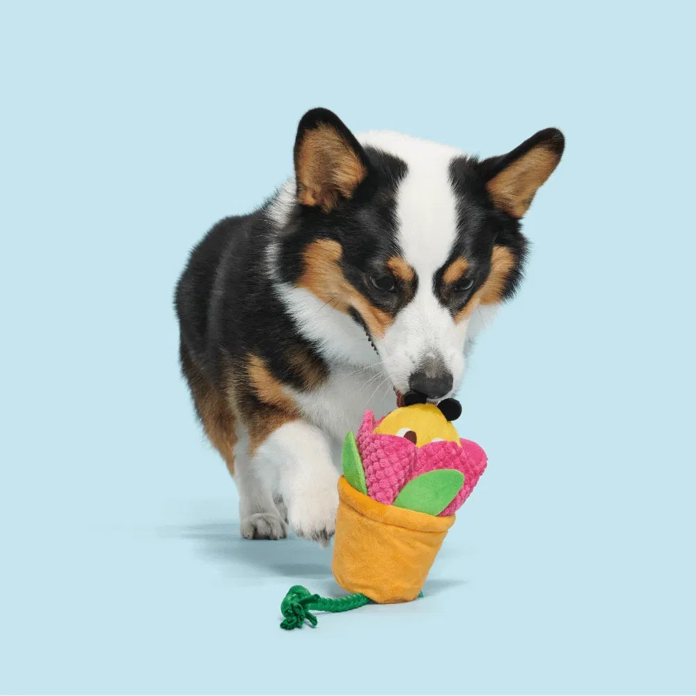 BARK Pollen Nate Backyard Garden Dog Toy