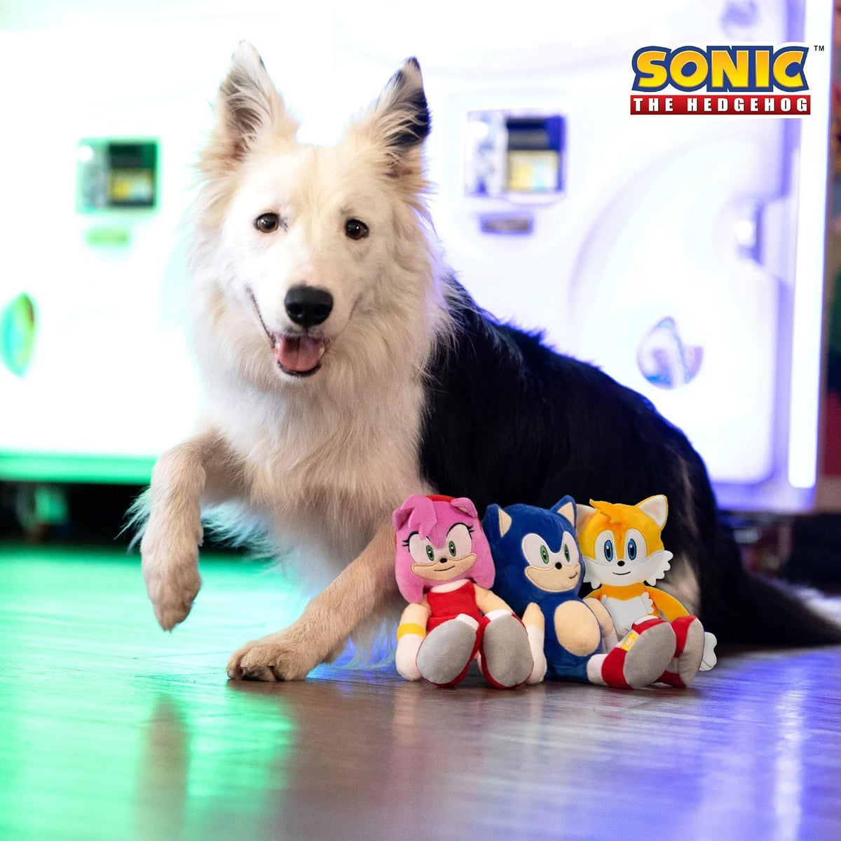 Multipet Sonic the Hedgehog Plush Dog Toy - Sonic