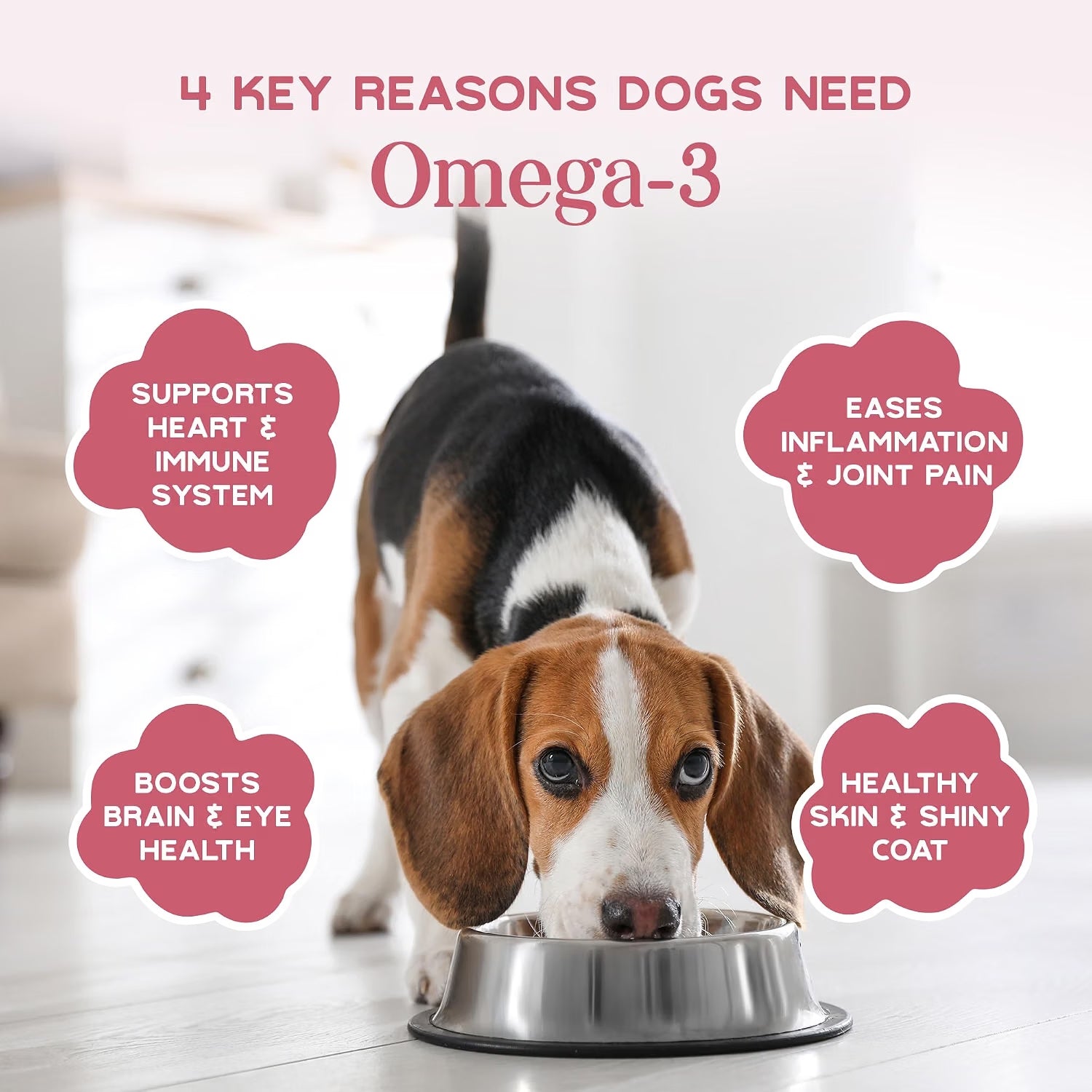 Merlins 100% Freeze Dried Salmon Powder for Cats & Dogs – 100g