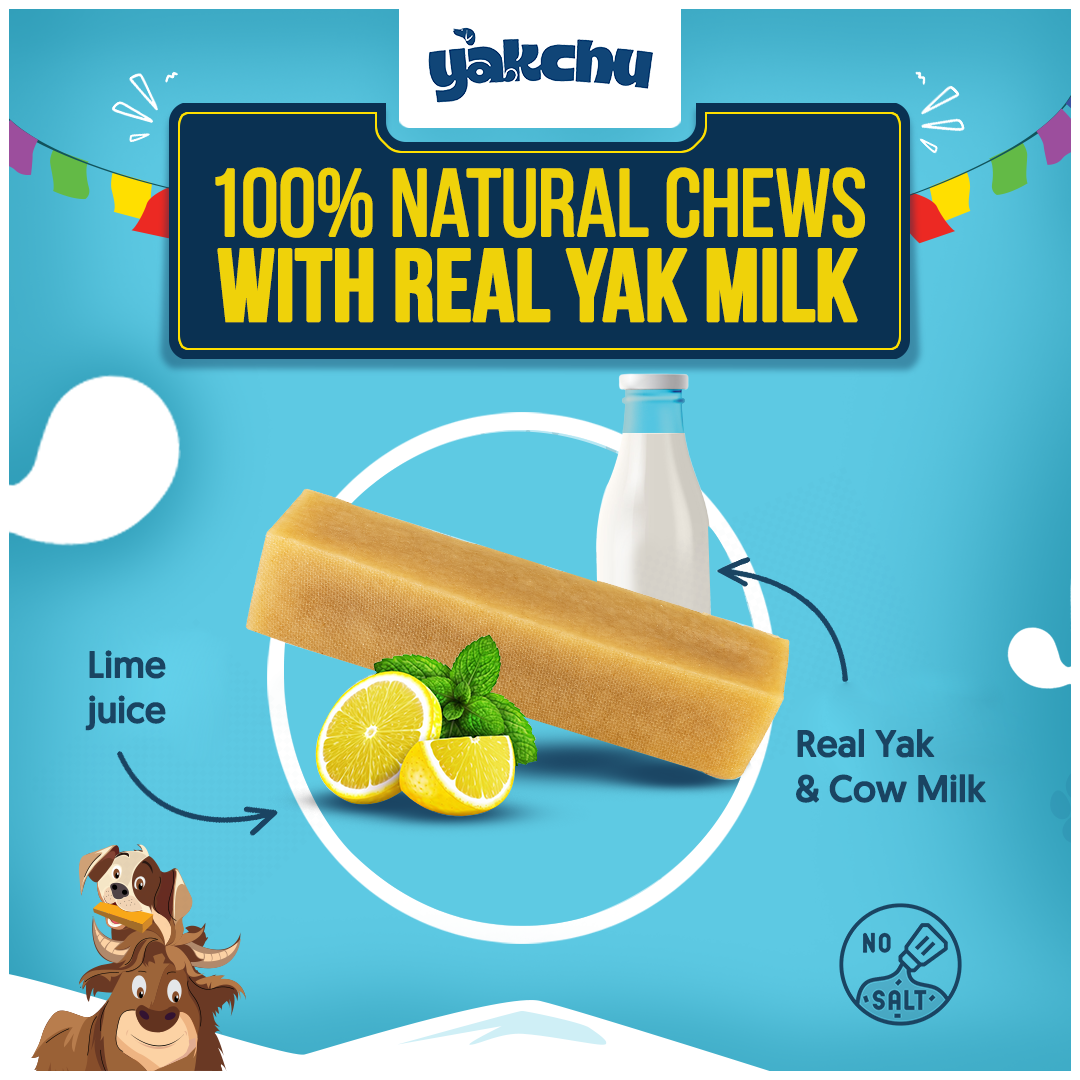 Yakchoo Himalayan Yak Cheese Dog Chews – X-Large 150g - 1 or 2 Pack Options