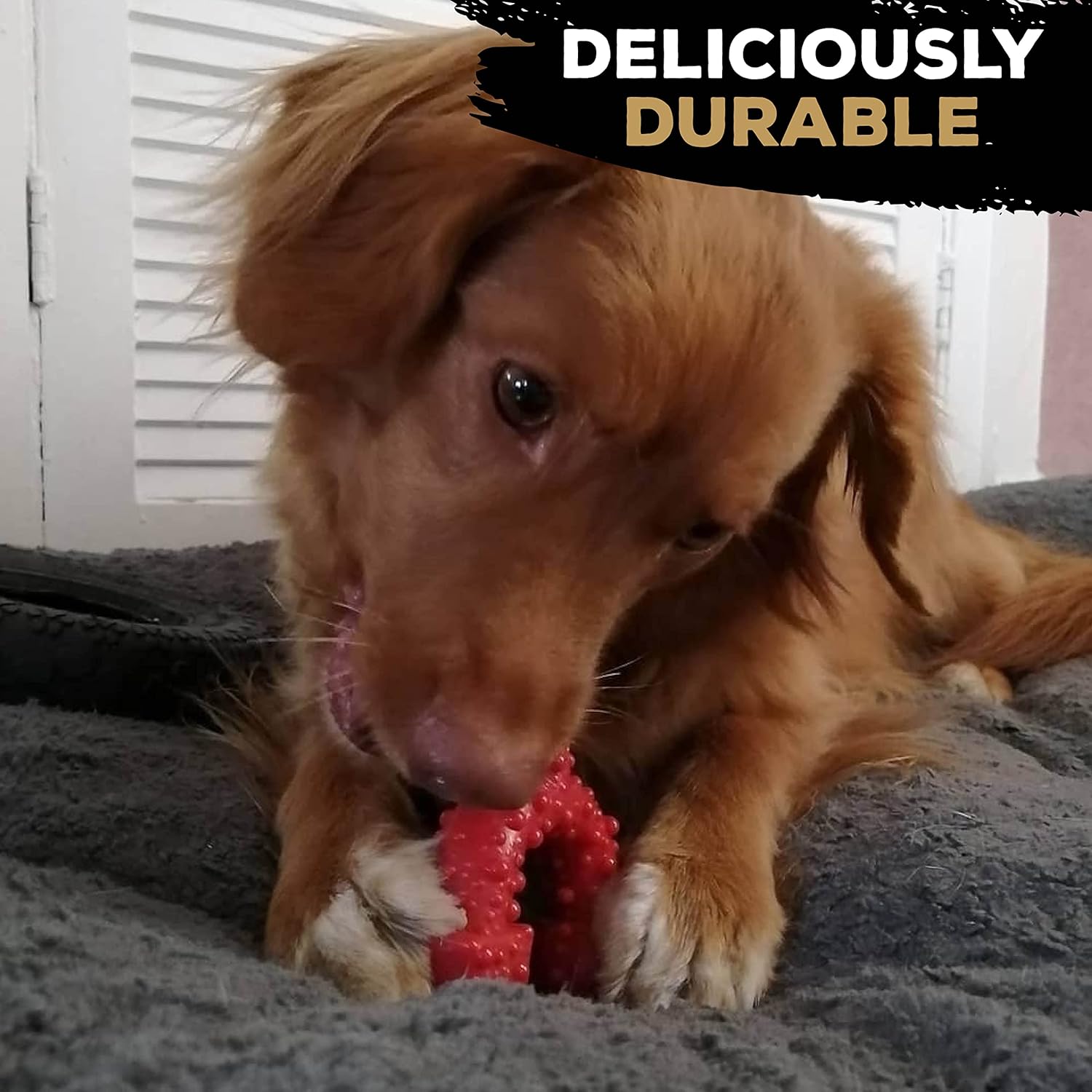 TastyBone TRIO Tough Nylon Dog Chews for Toy Dogs 5 Flavours