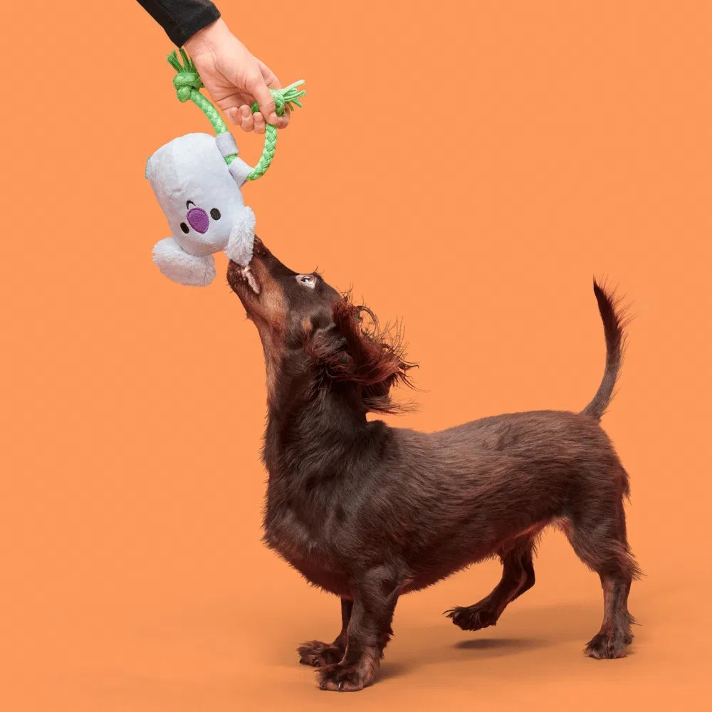 BARK Koa Koala Australian Outbark Dog Toy