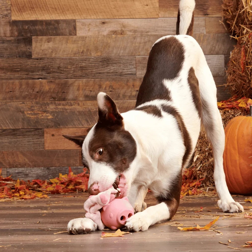 BARK Hambone Super Chewer Dog Toy