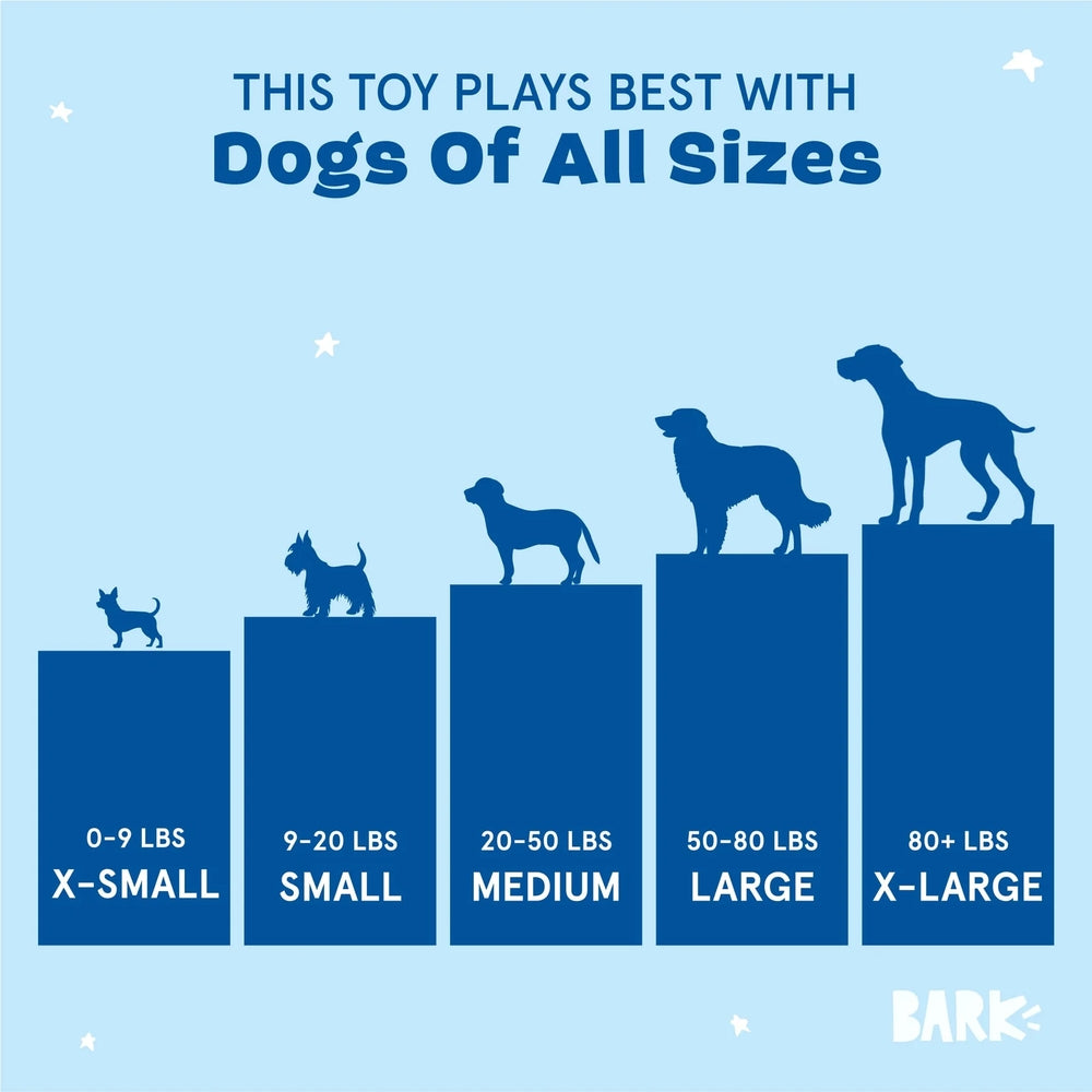 BARK Consuela The Cactus Plush Dog Toy