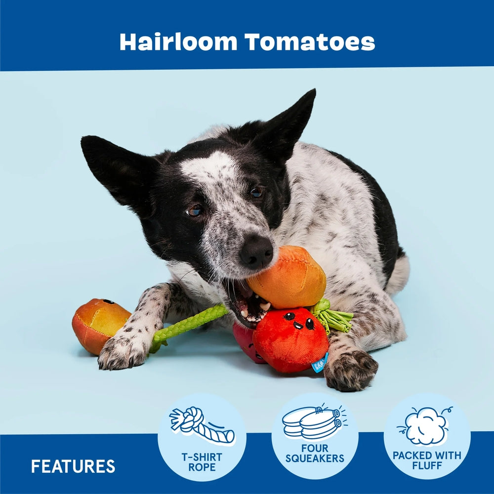 BARK Hairloom Tomatoes Plush Rope Dog Toy