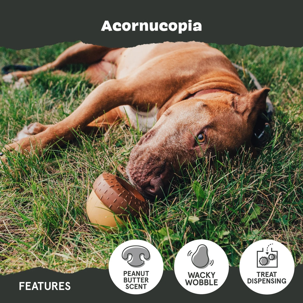 BARK Acornucopia Super Chewer Dog Toy