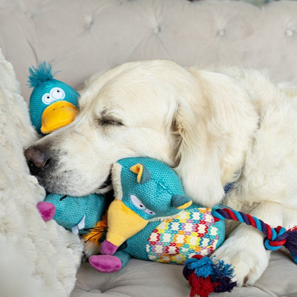Animal Instincts Teal Tails Ted the Fox Plush with Squeaker