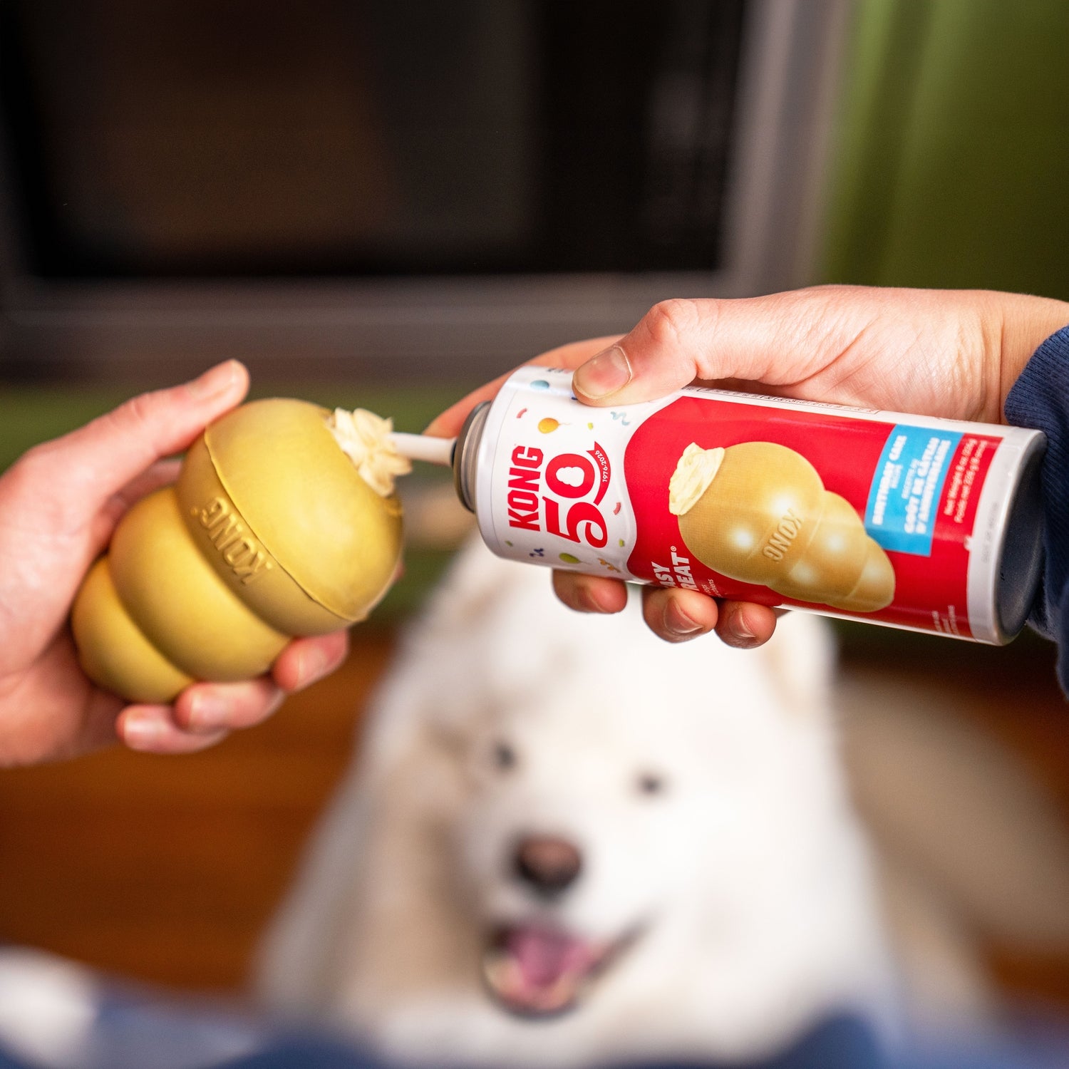 KONG Easy Treat Birthday Cake