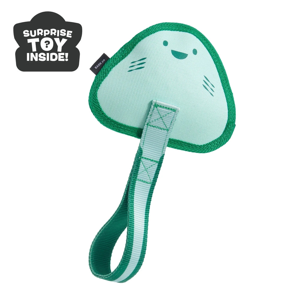 BARK Flingray Super Chewer Dog Toy