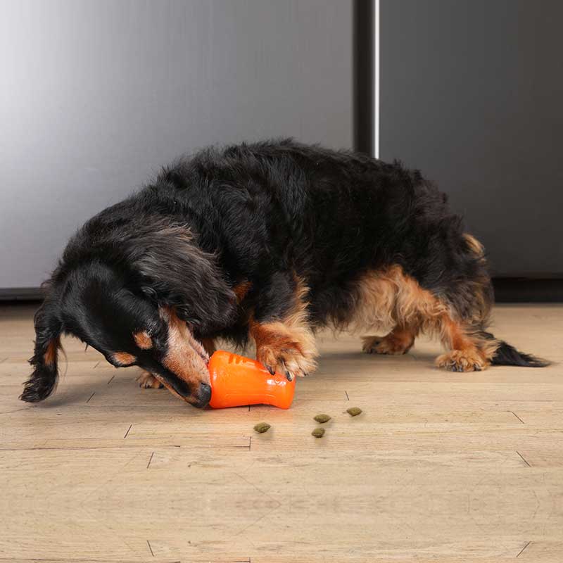 BIONIC Treat Shaker Dog Toy 3 Sizes