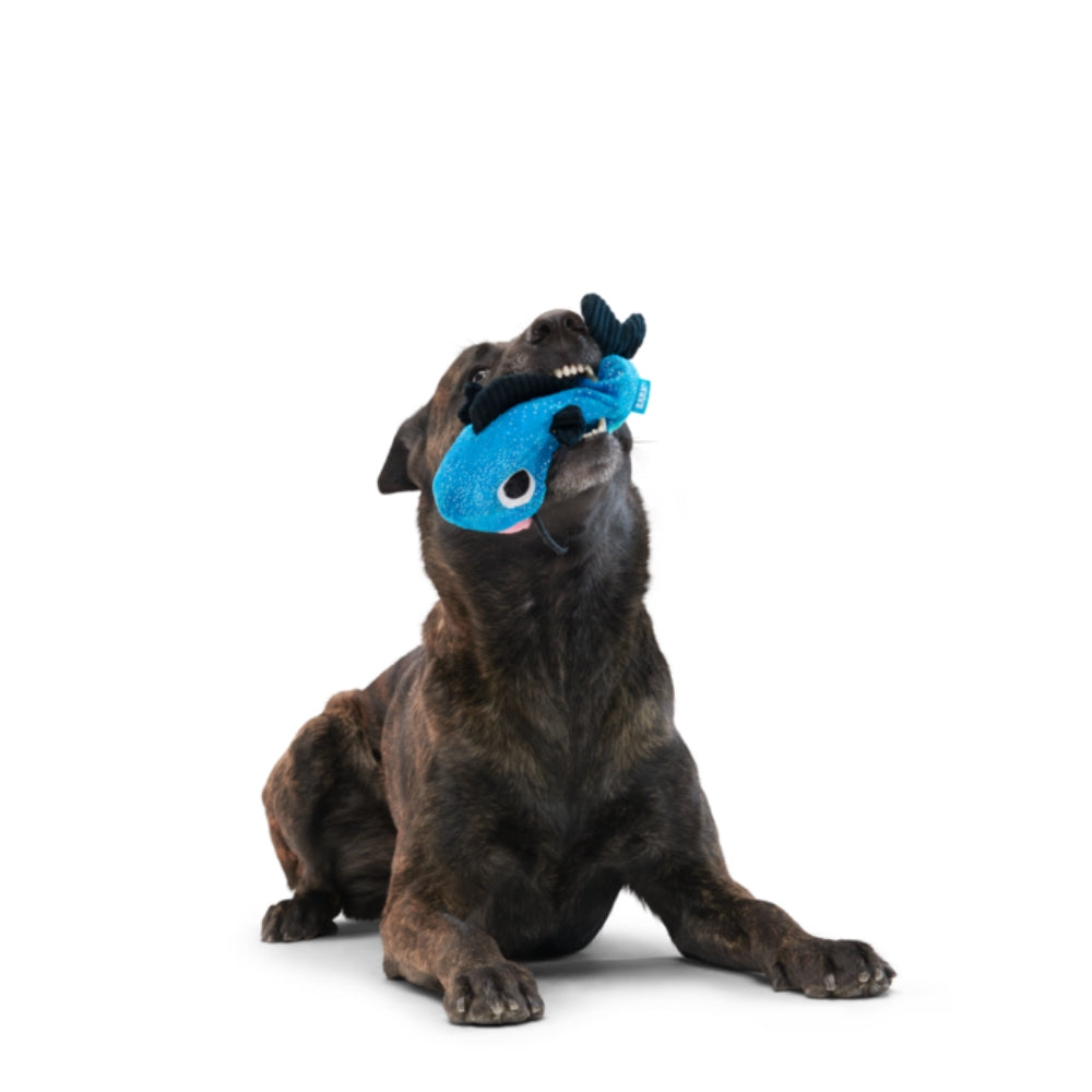 BARK Catfish Claude Plush Dog Toy