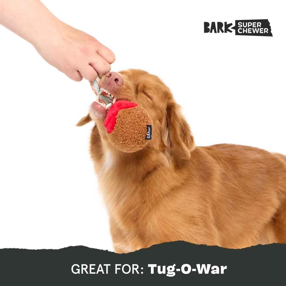 BARK A Squeaky Meat-A-Ball Super Chewer Dog Toy