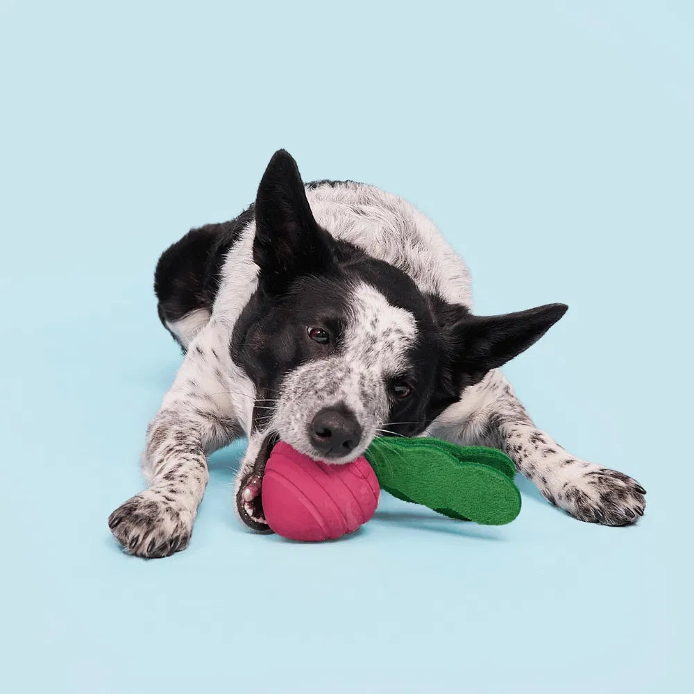BARK Turnt Up Turnip Backyard Garden Super Chewer Dog Toy