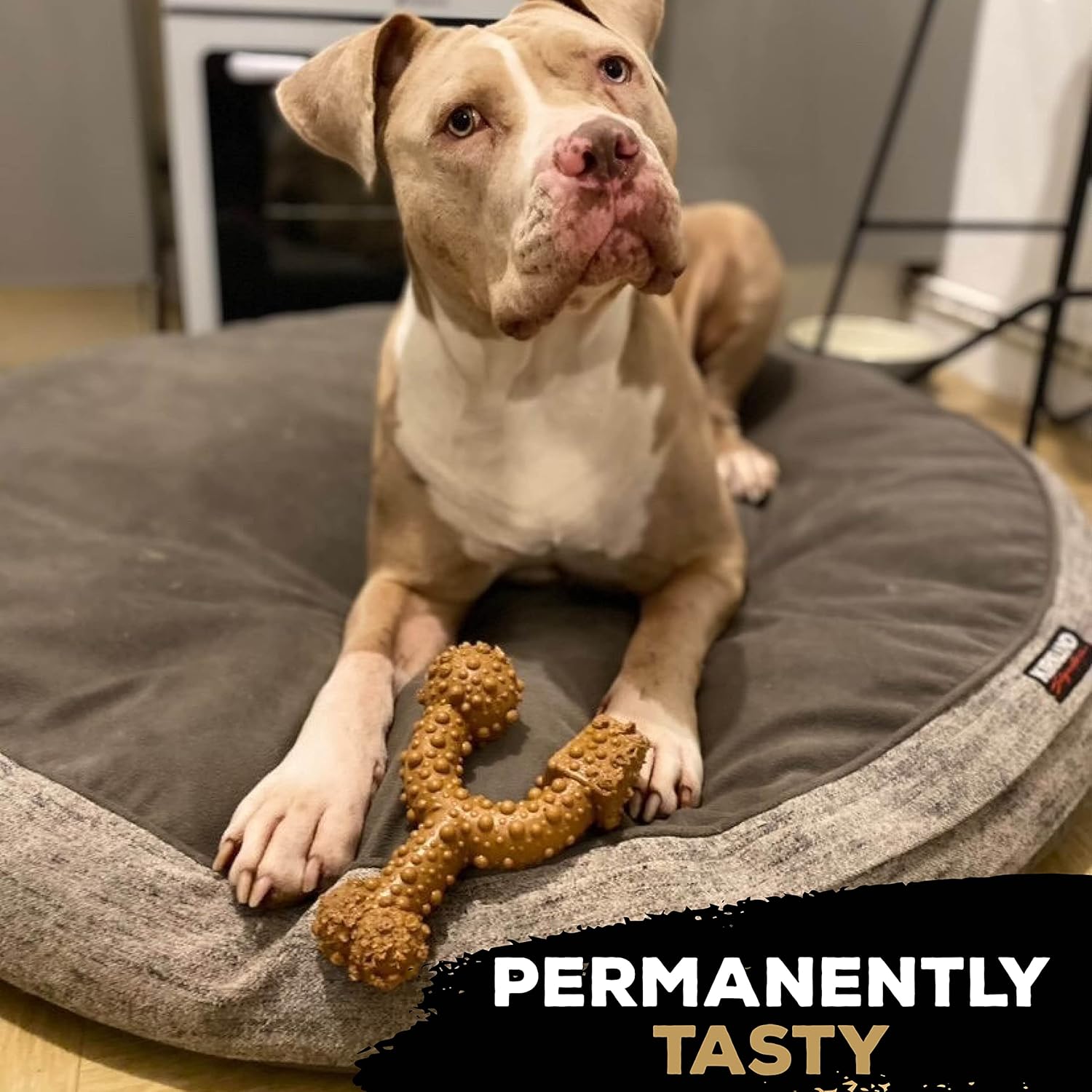 TastyBone TRIO Tough Nylon Dog Chews for Small Dogs 5 Flavours