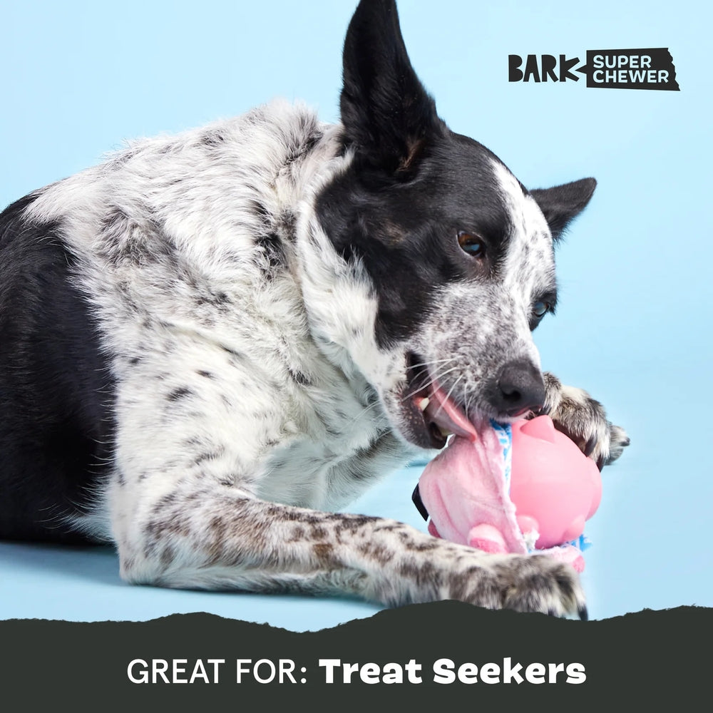 BARK Hambone Super Chewer Dog Toy