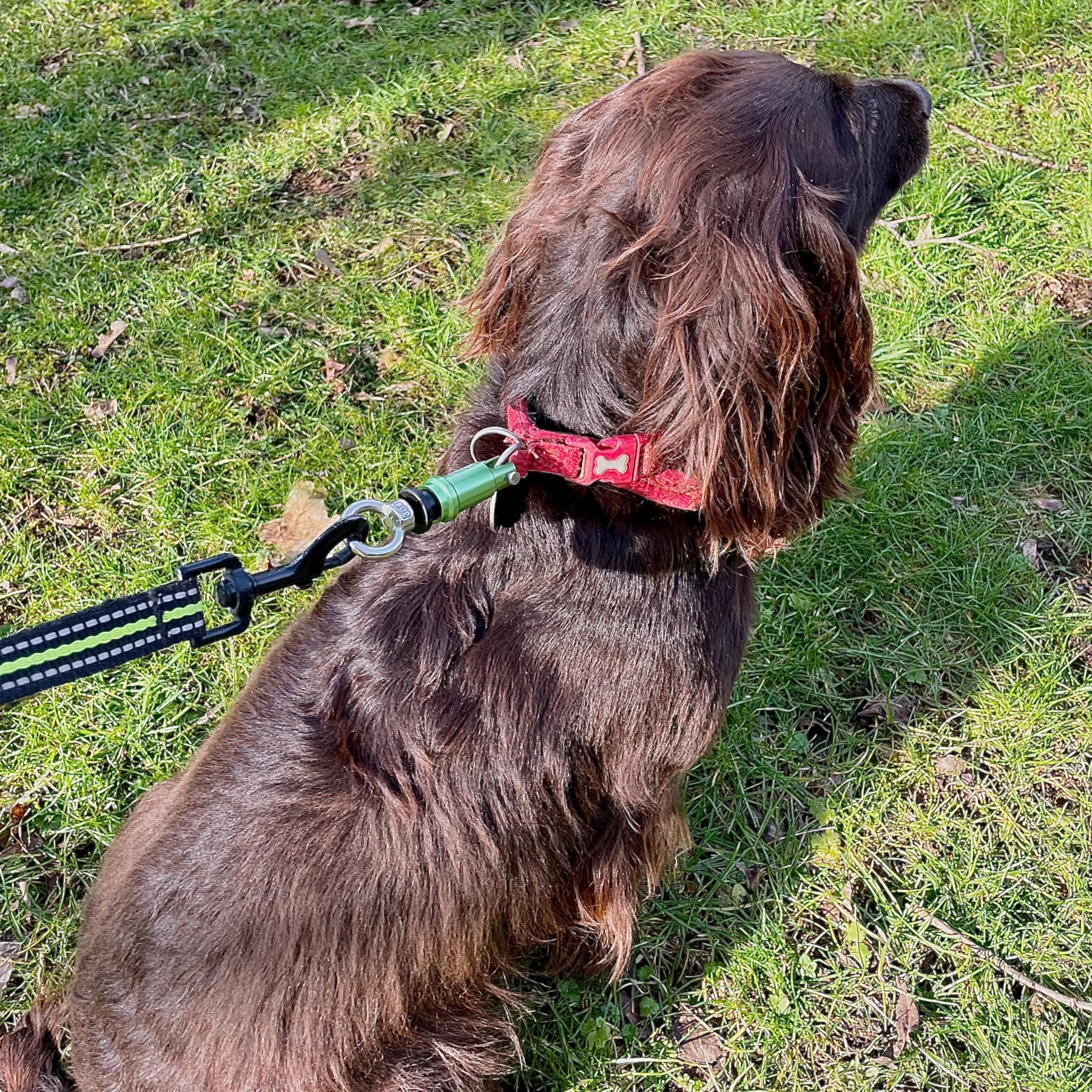 Wolfclip Eye Nut Adapters & Housings 5 Colours 2 Sizes