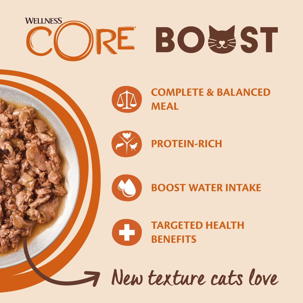 Wellness CORE Cat Boost Skin & Coat Chicken with Salmon 14 x 85g