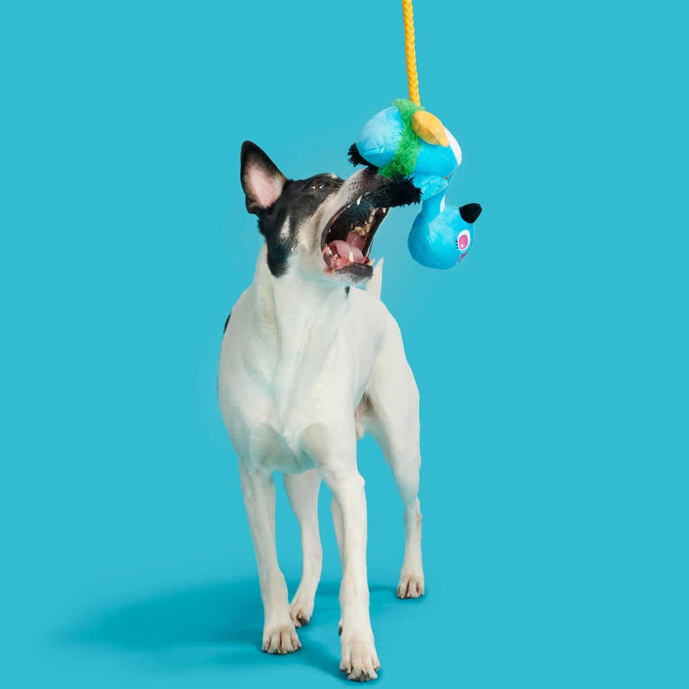 BARK Ani The Nene Goose Plush Dog Toy