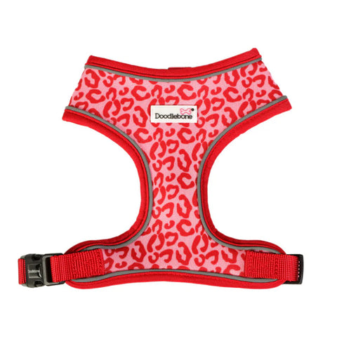 Dog Leads, Collars & Harnesses