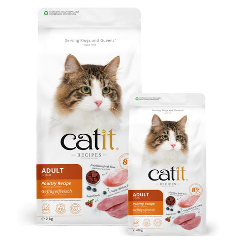 Cat Food & Treats