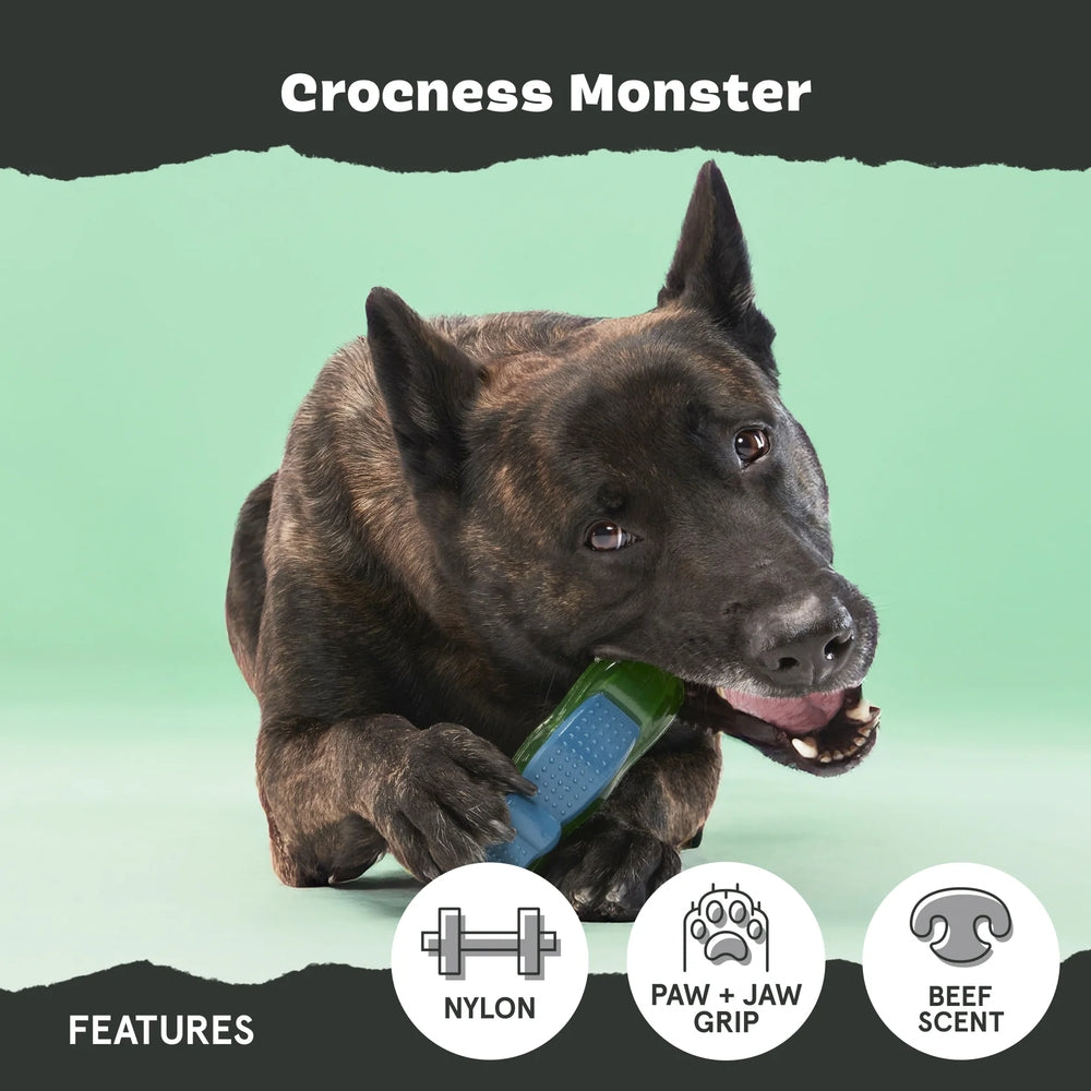 BARK Crocness Monster Super Chewer Dog Toy