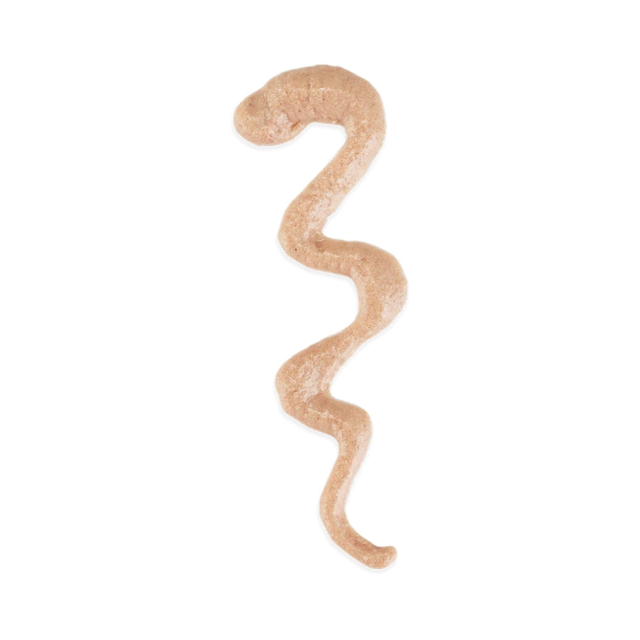 Schesir Stix Cat Treats with Duck in Cream 6 x 15g