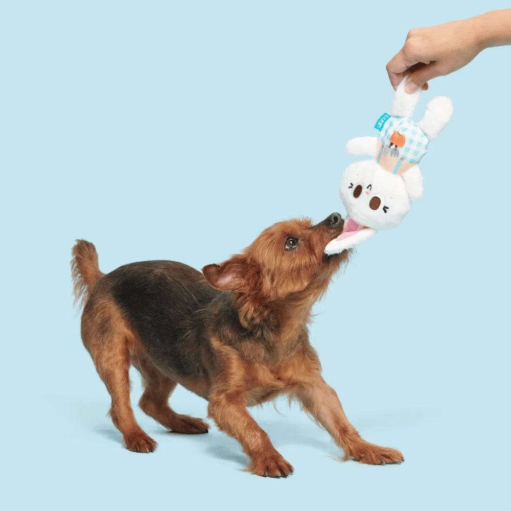 BARK Green Thumb Bun Backyard Garden Dog Toy