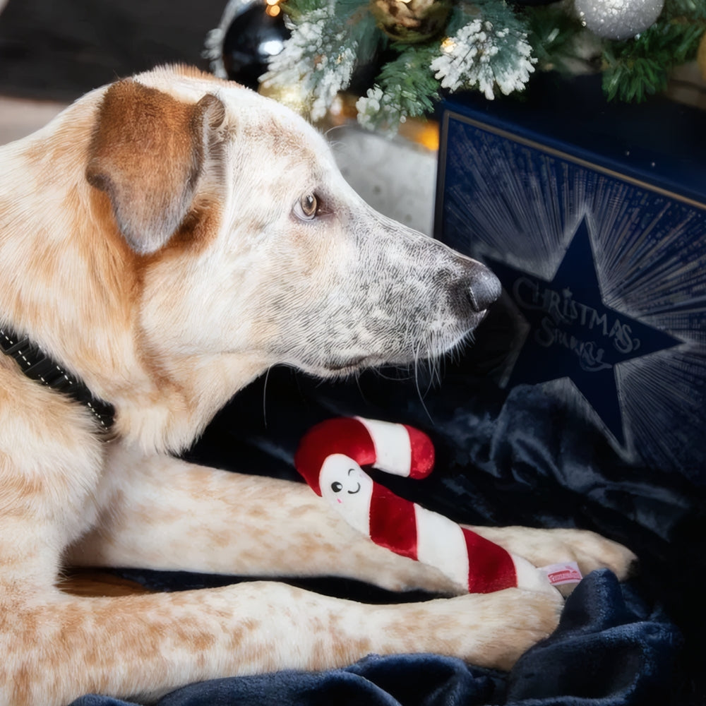 Rosewood Cupid & Comet Christmas Dinner Dog Stocking
