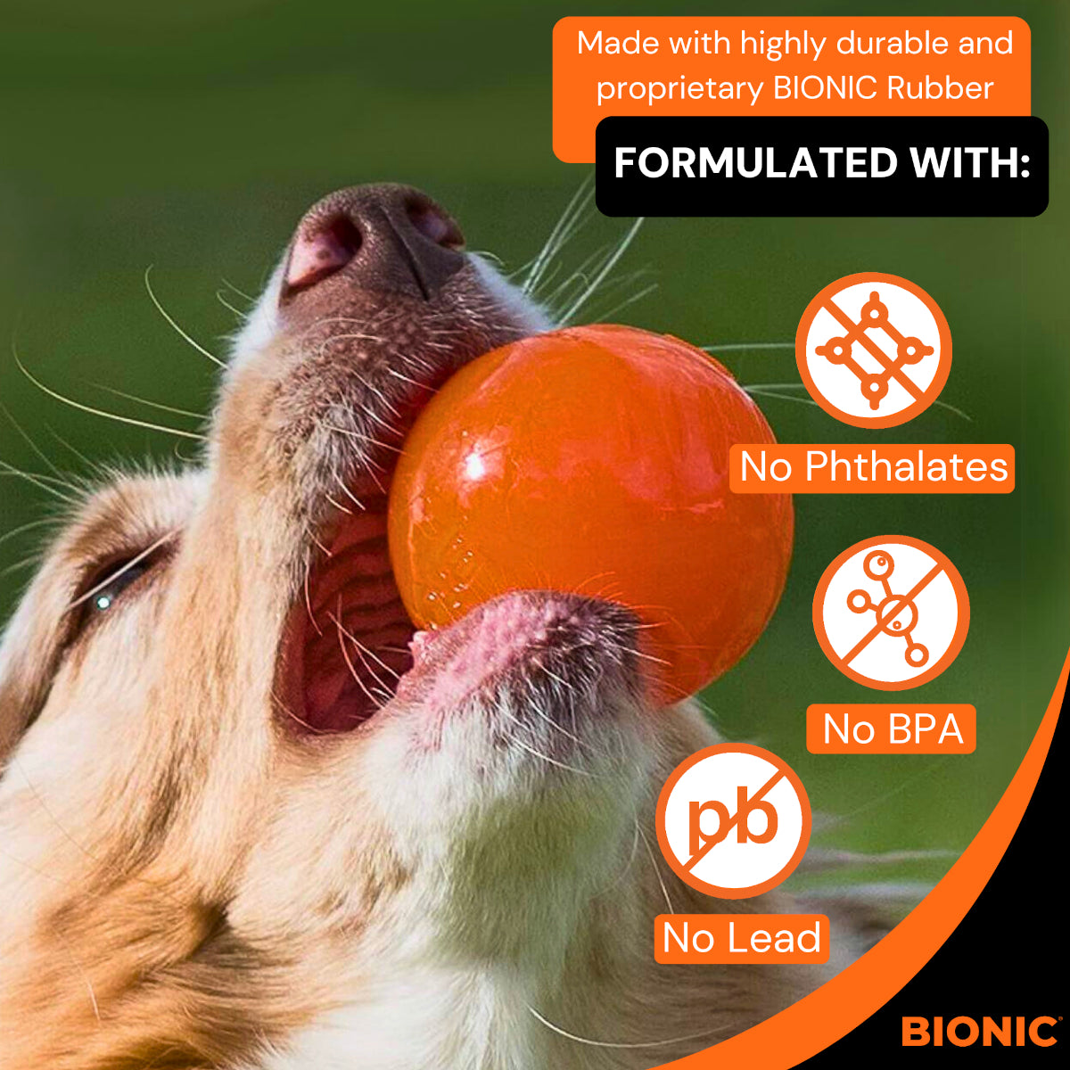 BIONIC Ball Dog Toy 3 Sizes