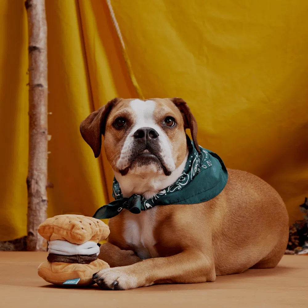 BARK More S'Mores Grrreat Outdoors Dog Toy