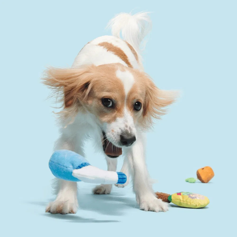 BARK Greenhouse Gang Backyard Garden Dog Toy