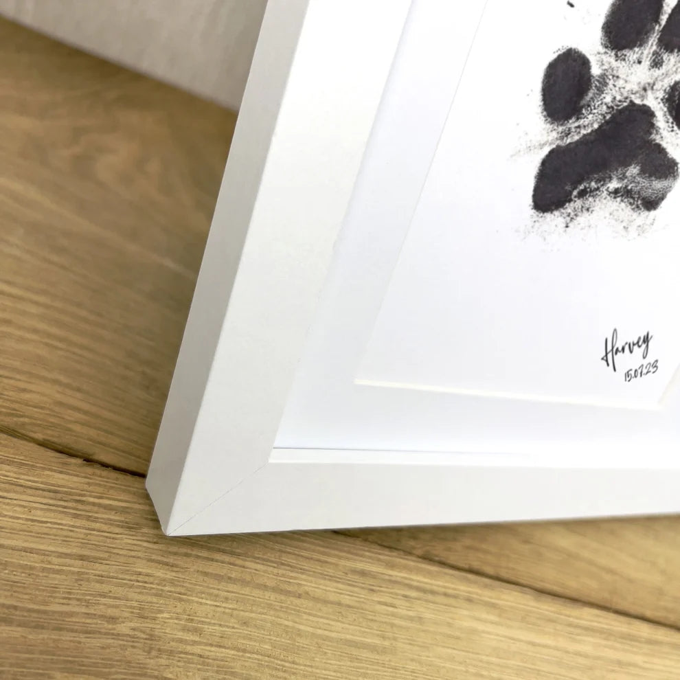 Paw Print Ink Keepsake Photo Frame Kit