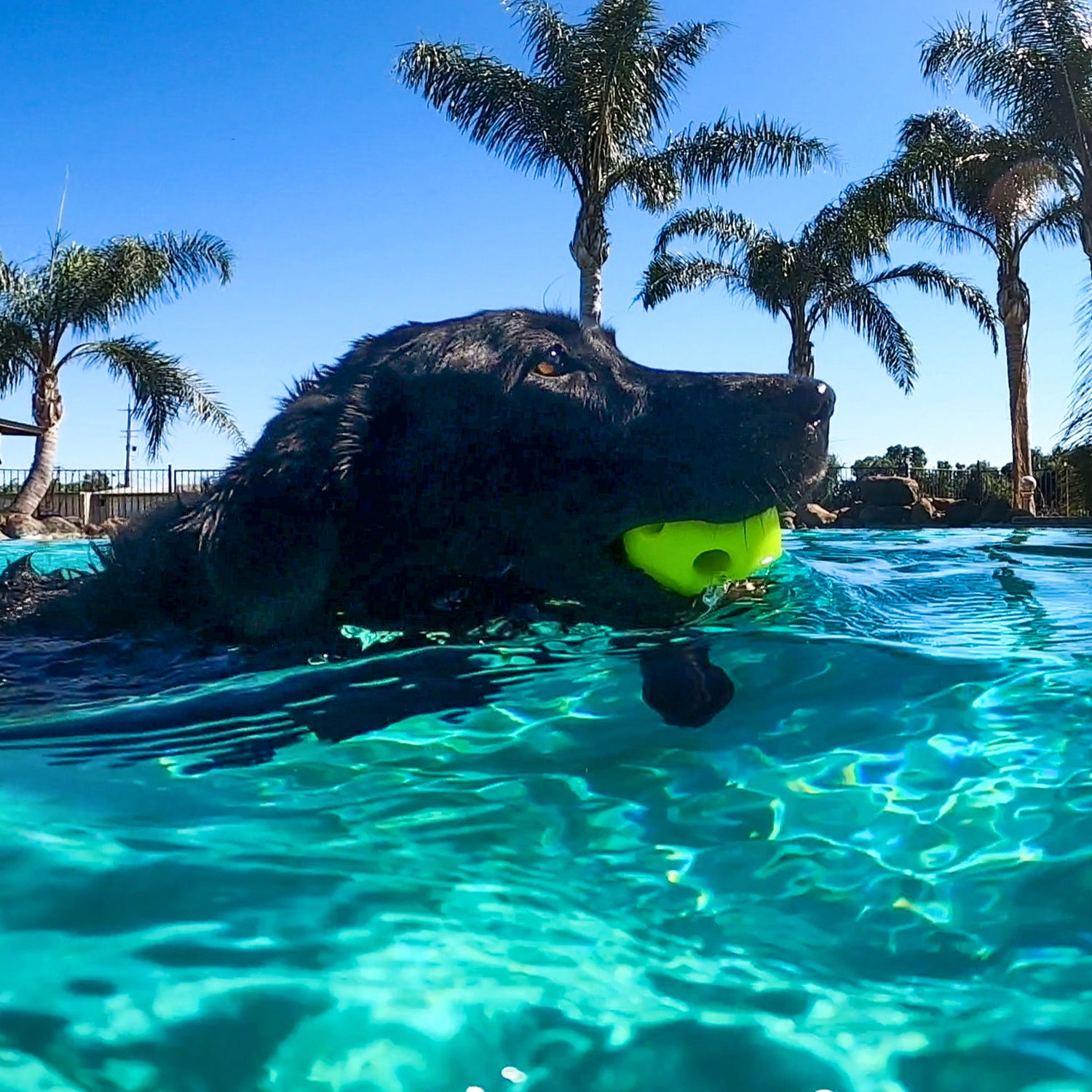 Multipet Breeze Ball Dog Toys | Durable, Lightweight Play Balls 3"