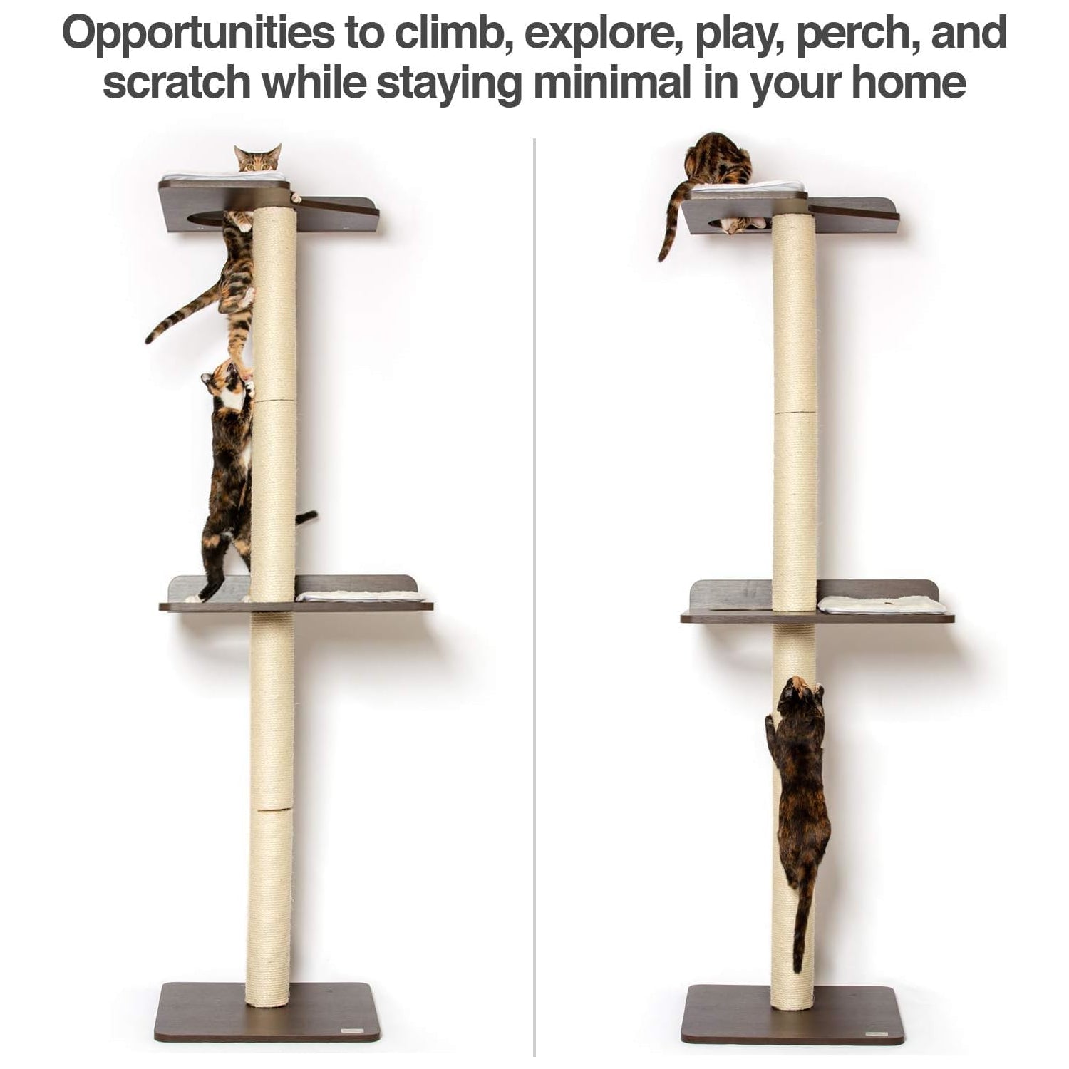 PetFusion Ultimate Cat Climber