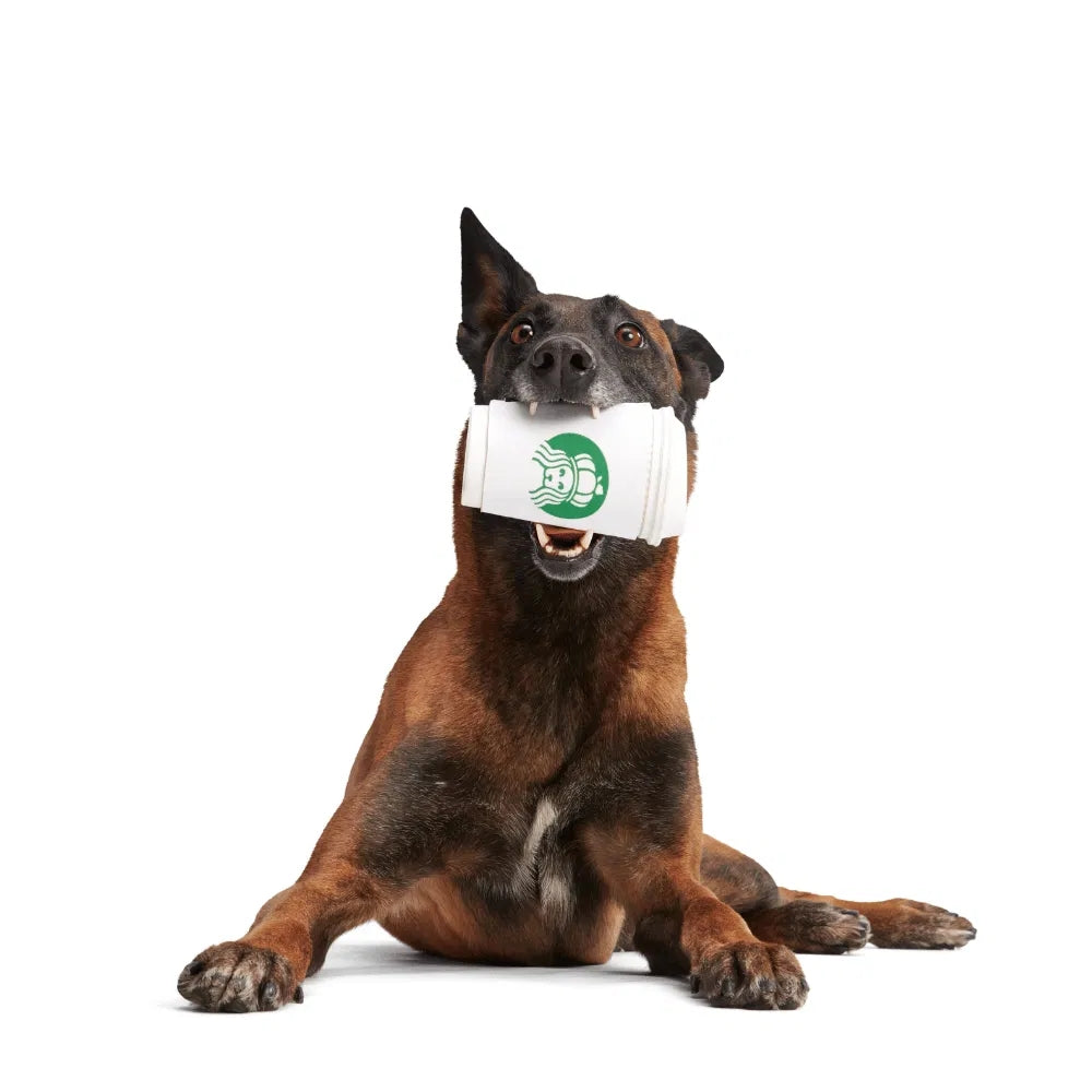 Bark Pupkin Spice Yappucino Super Chewer Dog Toy