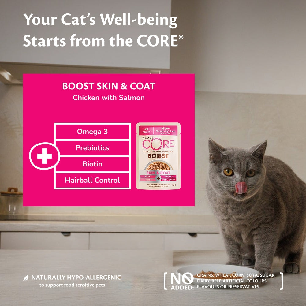 Wellness CORE Cat Boost Skin & Coat Chicken with Salmon 14 x 85g
