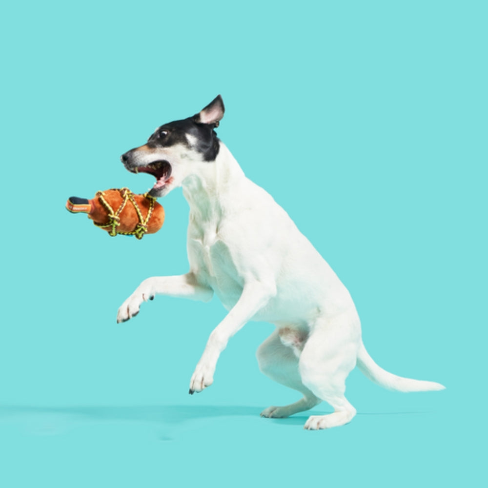 BARK Barkbeard'S Rum Plush Dog Toy