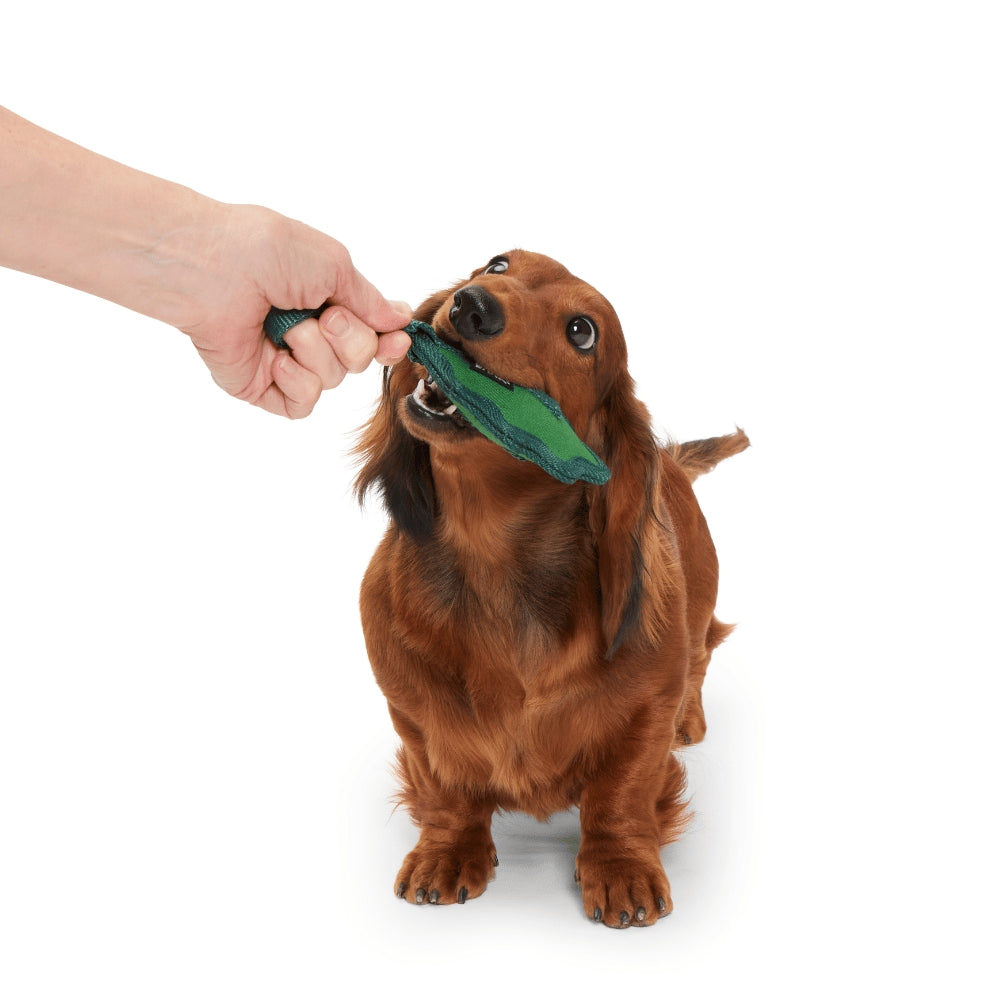 BARK A Green Chew Leaf Super Chewer Dog Toy
