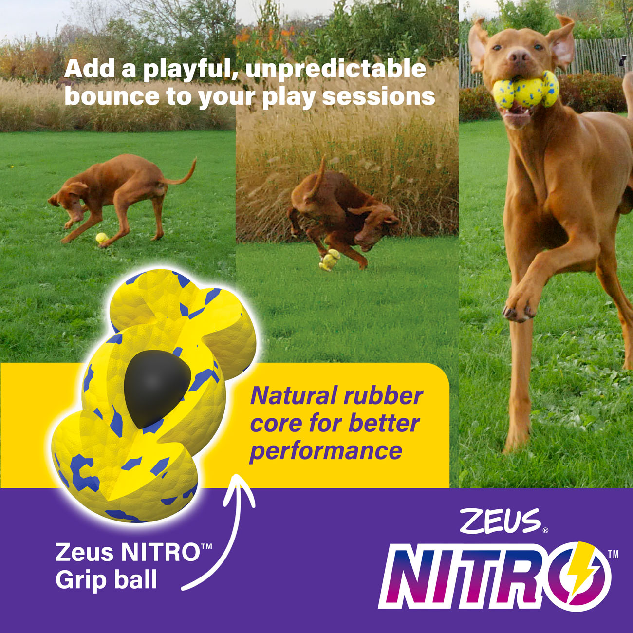 Zeus NITRO Weighted Grip Ball Dog Toy