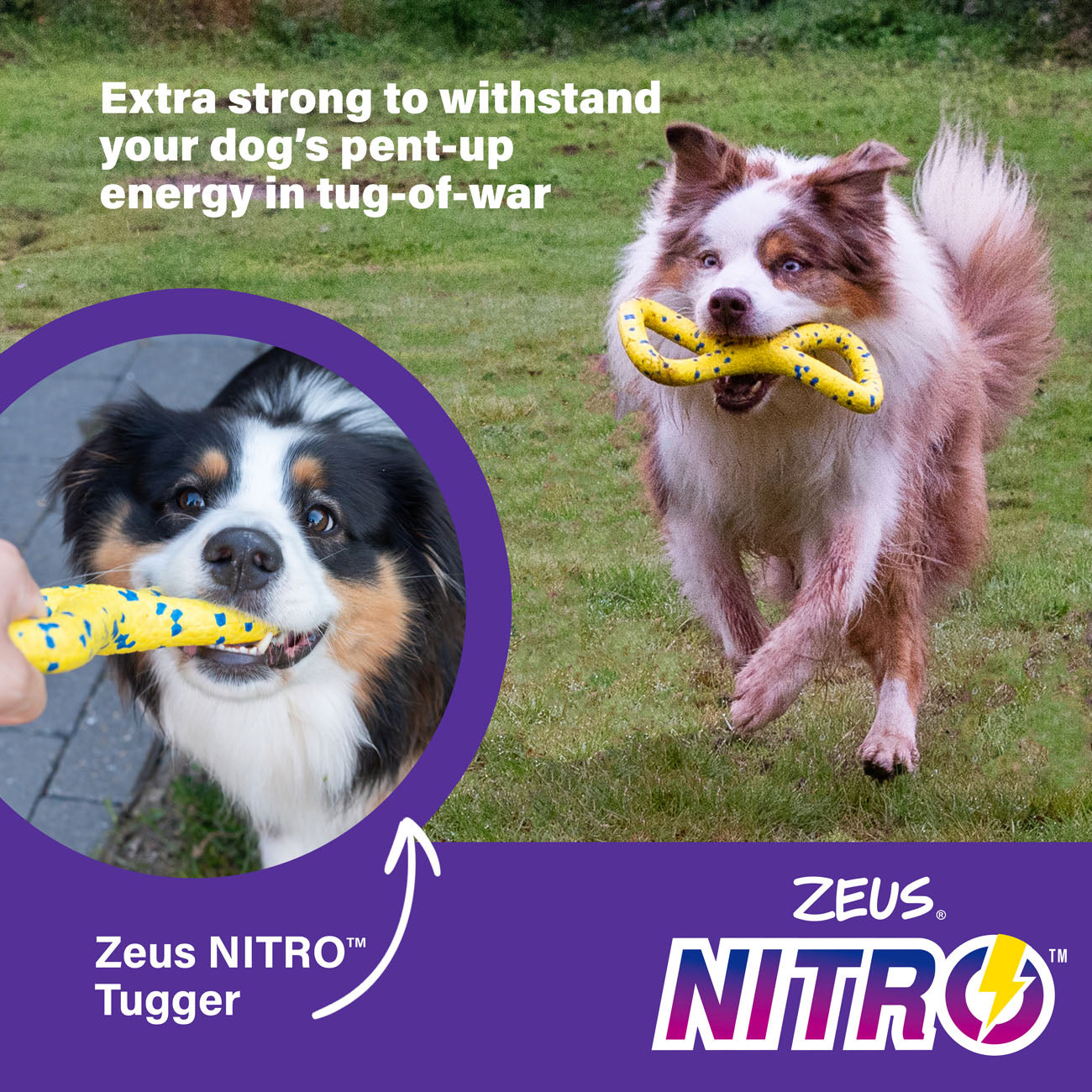 Zeus NITRO Tugger Dog Toy