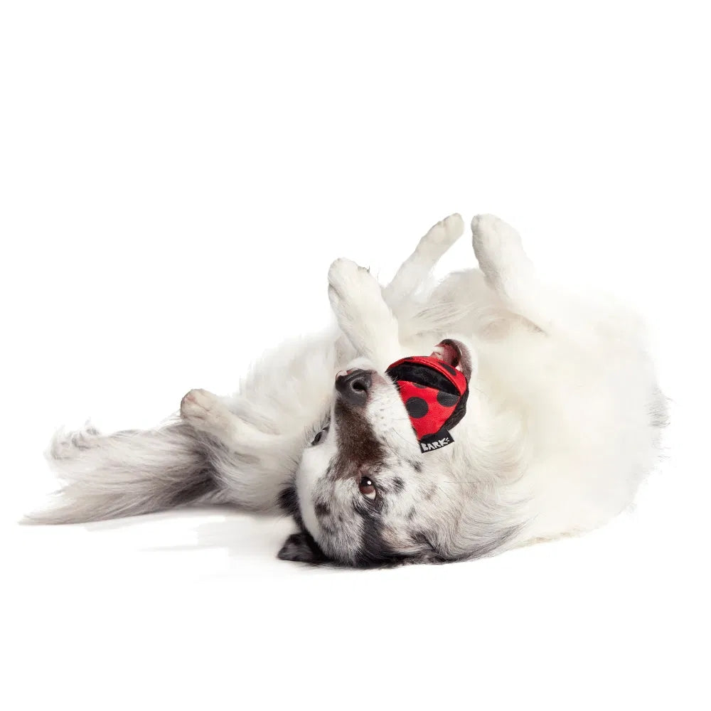 BARK Lady Bugsy Backyard Garden Super Chewer Dog Toy