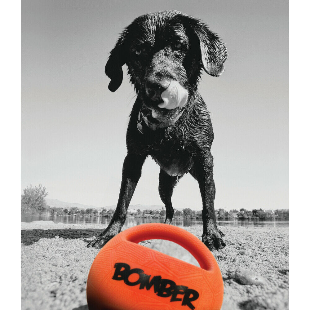 Zeus BOMBER Ball Dog Toy 2 Sizes