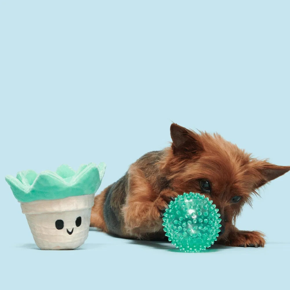 BARK Suki Succulent Backyard Garden Dog Toy