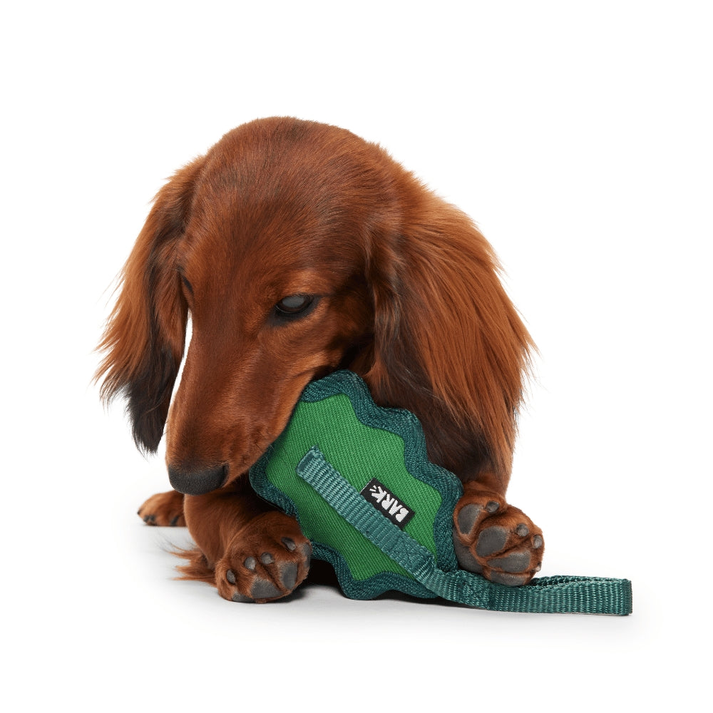 BARK A Green Chew Leaf Super Chewer Dog Toy