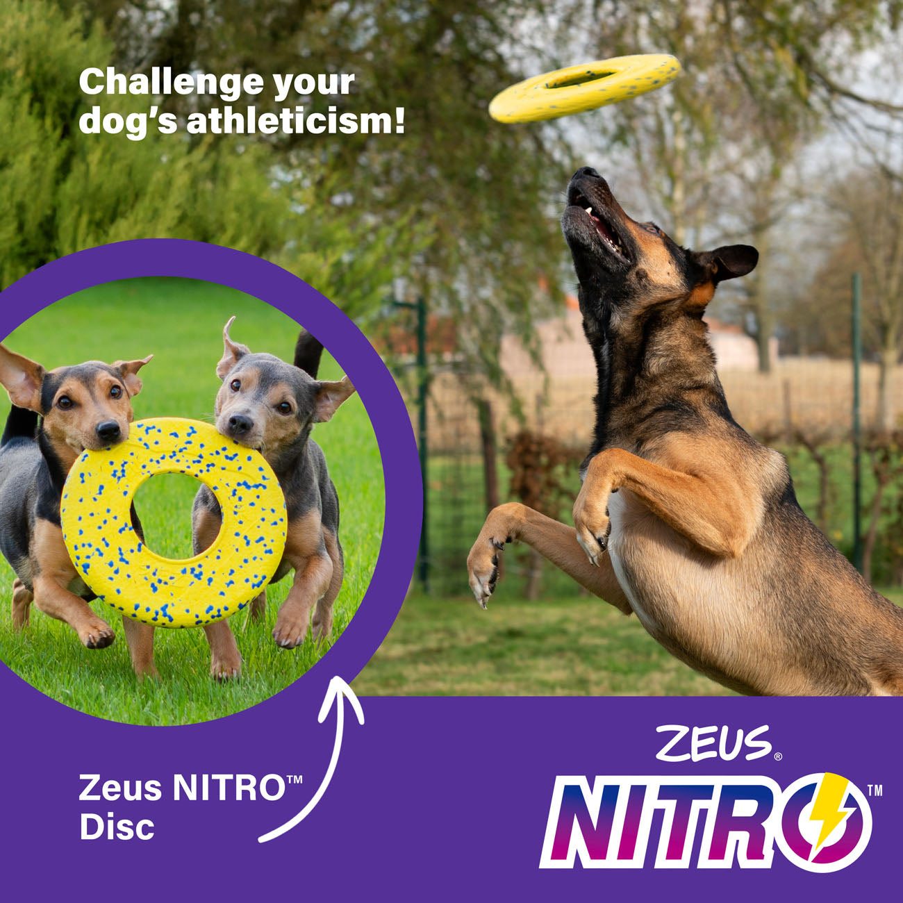 Zeus NITRO Flying Disc Dog Toy