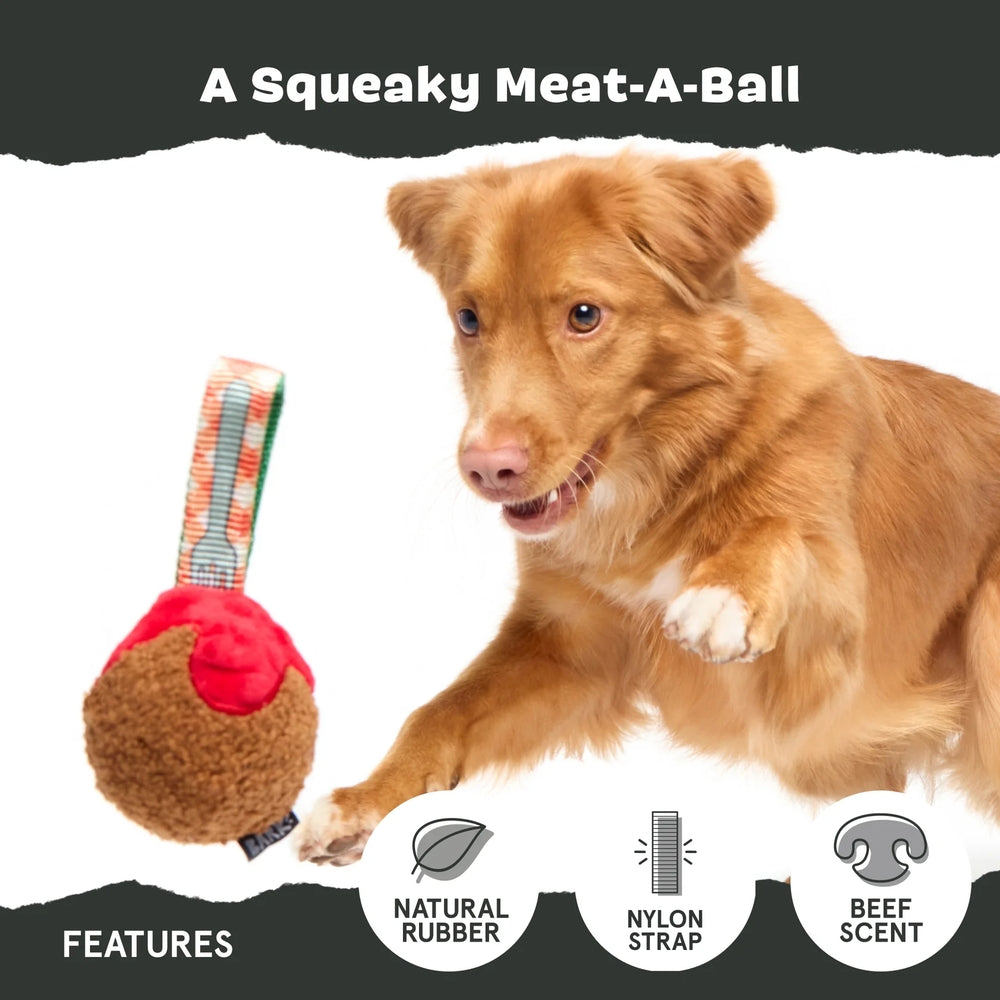 BARK A Squeaky Meat-A-Ball Super Chewer Dog Toy