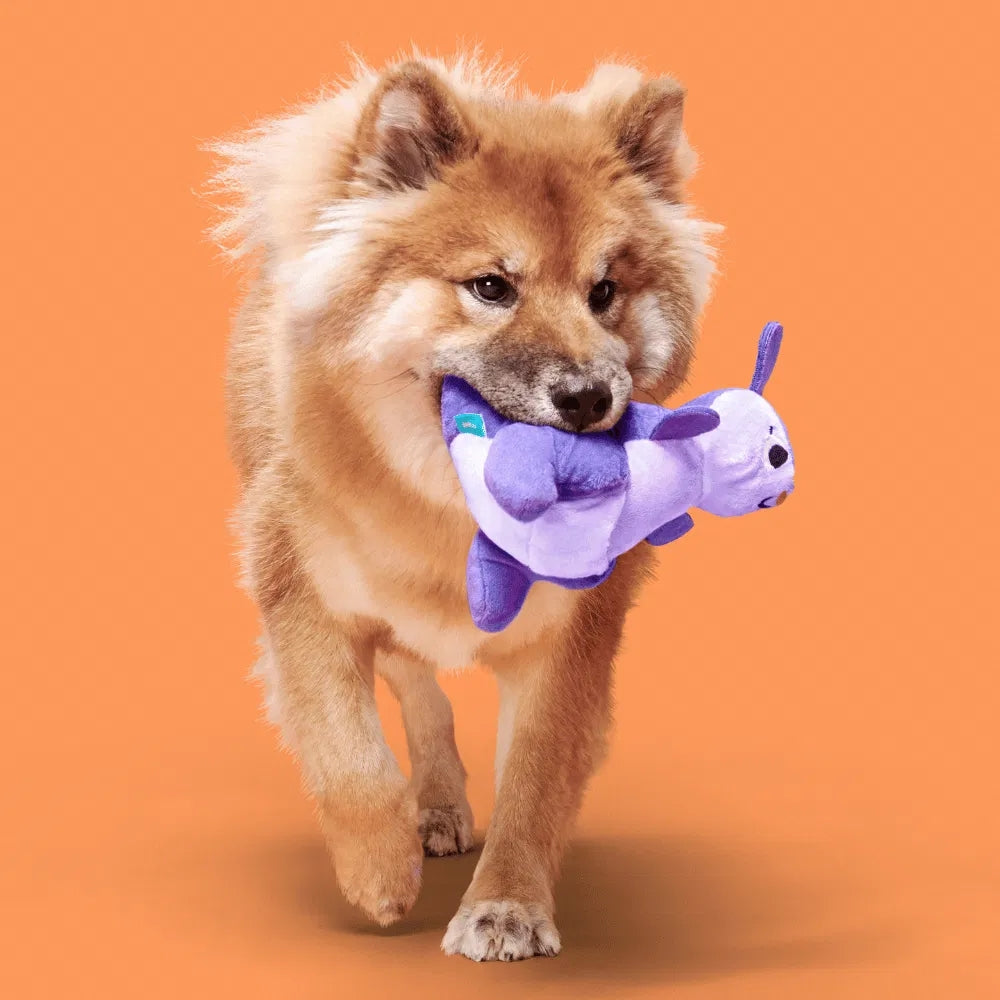 BARK Topanga Kanga Australian Outbark Dog Toy